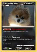 Energy dog!