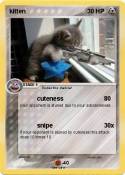 kitten