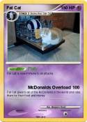Fat Cat