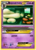 squash baby