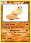 bird egg