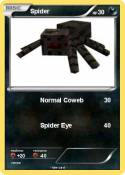 Spider