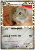 Pipa