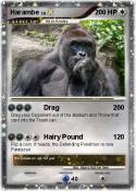 Harambe