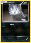 Black Cat