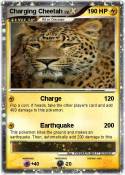 Charging Cheeta
