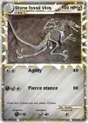 Stone fossil