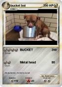 bucket boi