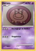chat tielis