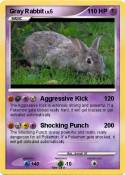 Gray Rabbit