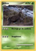 caribou