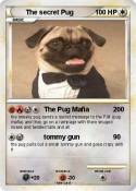 The secret Pug