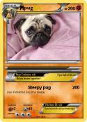 pug