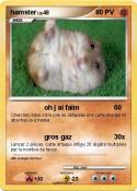 hamster