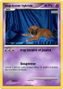 loup-boxer