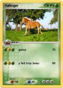 Haflinger