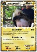 robloxgamerEX