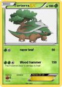 Torterra