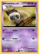 pwn monkey