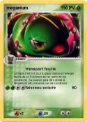 meganium 
