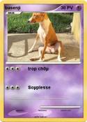 basenji