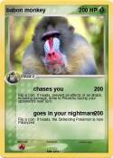 babon monkey