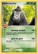 flatface monkey