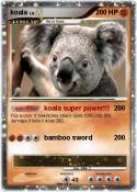 koala