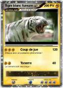 Tigre blanc