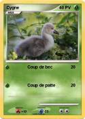 Cygne