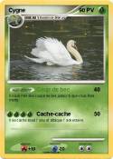 Cygne