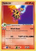 Turtle GX