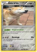 Shibe of life