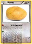 POTATO