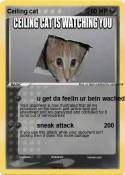 Ceiling cat