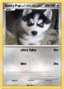 Husky Pup