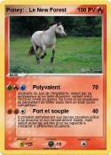 Poney: . Le New