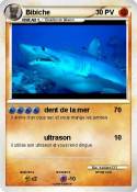 Bibiche