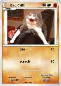 Bad Cat!!!!