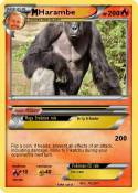 Harambe