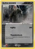 ALPHA WIZARD