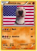 American dog
