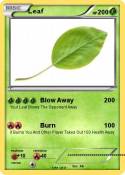 Leaf
