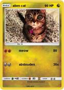 alien cat