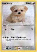 Cute puppy