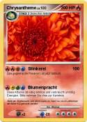 Chrysantheme