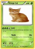 Orange Cat