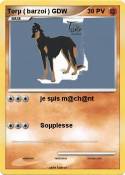 Torµ ( barzoi )