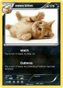 mews kitten