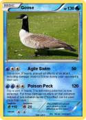 Goose